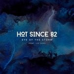 cover: Hot Since 82|Liz Cass - Eye Of The Storm