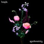 cover: Hoopla - Synchronicity