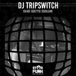 cover: Dj Tripswitch - She Gets Down