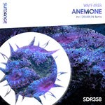 cover: Wayf4rer - Anemone