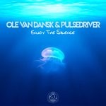 cover: Ole Van Dansk|Pulsedriver - Enjoy The Silence