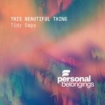 cover: Tidy Daps - This Beautiful Thing