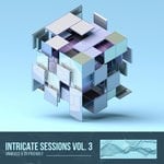 cover: Various|Irdi - Intricate Sessions Vol 03 (Unmixed)