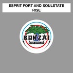 cover: Esprit Fort & Soulstate - Rise