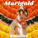 cover: Blondfire - Marigold