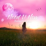 cover: Barmuda & Lool - Need U Now