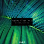 cover: Anthony Natale - She Just Like With Me