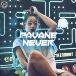 cover: Pavane - Never