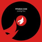 cover: Pittarius Code - Loving You