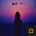 cover: Amelie' - Feel