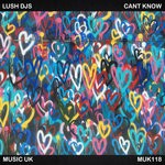 cover: Lush Djs - Can't Know