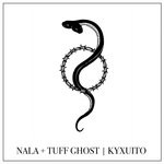 cover: Nala - Kyxuito