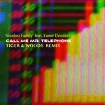 cover: Nicolosi Family - Call Me Mr Telephone (Tiger & Woods Remix)