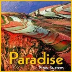 cover: Flow System - Paradise