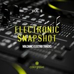 cover: Various - Electronic Snapshot Vol 8 (Volcanic Electro Tracks)