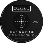 cover: House Arrest Nyc - High From The Feelin'