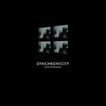 cover: Shin Nishimura - Synchronicity