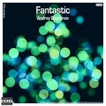 cover: Andrey Bogdanov - Fantastic