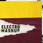 cover: Florent Duclos & Benoit Jego - Electro Mashup