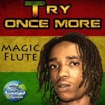 cover: Magic Flute - Try Once More