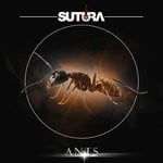 cover: Sutura - Ants