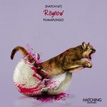 cover: Raynow - Pumagungo