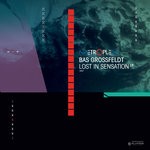 cover: Bas Grossfeldt - Lost In Sensation