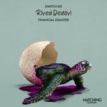 cover: Riven Benavi - Financial Disaster