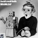 cover: David Lowell Smith - Brainleaf