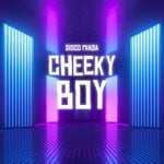 cover: Disco Panda - Cheeky Boy