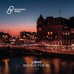 cover: Lirvo - Believe For Me