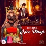 cover: Mr Chumps - Nice Things