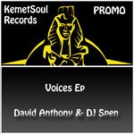 cover: Dave Anthony|Dj Spen - Voices