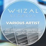 cover: Various - Various Artist Whizal Records