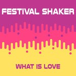 cover: Festival Shaker - What Is Love