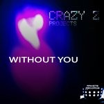 cover: Crazy Z Projects - Without You (Cazintel Mix)