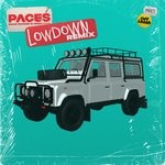 cover: Lowdown & Paces|Muki - Dear Driver