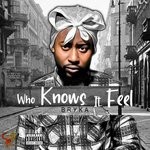 cover: Bryka - Who Knows It Feel (Explicit)