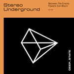 cover: Stereo Underground - Stereo Underground