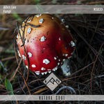 cover: Allen Lee - FUNGI