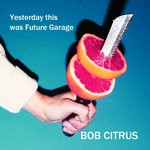 cover: Bob Citrus - Yesterday This Was Future Garage