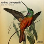 cover: Anima Universalis - Into The Forest