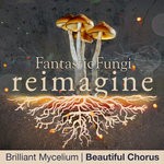 cover: Beautiful Chorus - Brilliant Mycelium