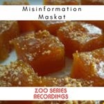 cover: Misinformation - Maskat