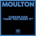 cover: Cubase Dan - How You Want It