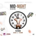 cover: Gaacho|Tetermin - Mid-Night Riddim