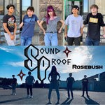 cover: Soundproof - Rosebush