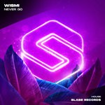 cover: Wismi - Never Go