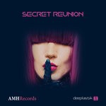 cover: Deeplastik - Secret Reunion