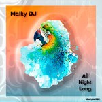 cover: Malky Dj - All Night Long